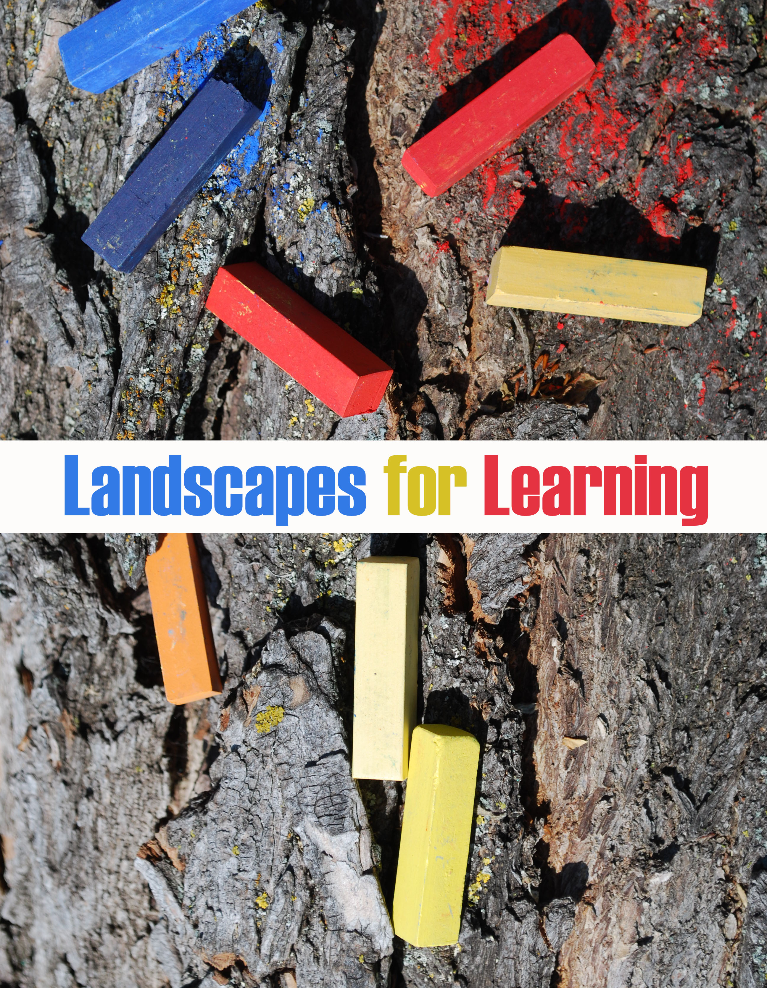 					View Vol. 2 No. 1 (2026): Landscapes for Learning: 2025-2026 Exemplary Work
				