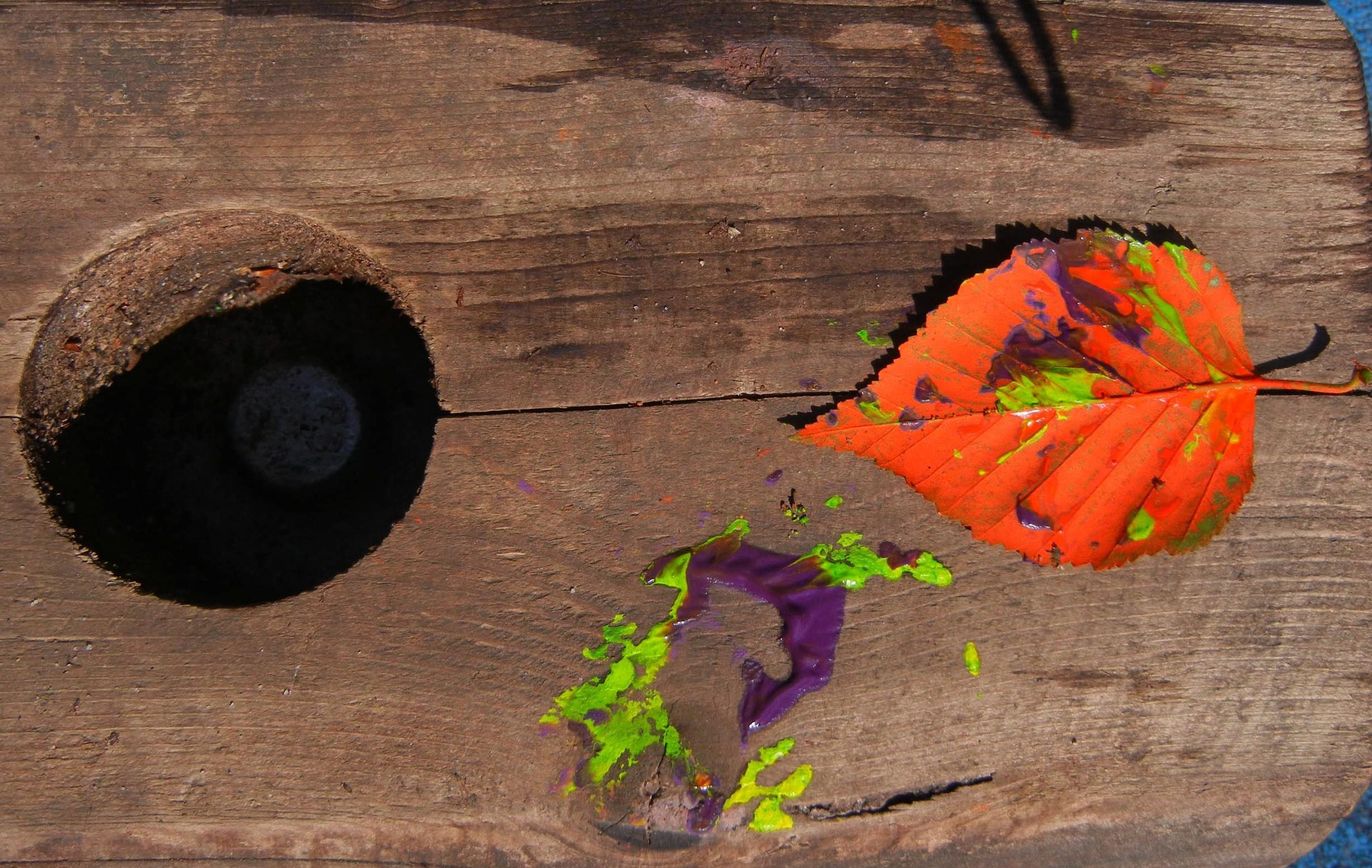 red leaf on a wooden surface splattered with green and purple paint 